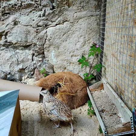 La Maison Bleue Сasa de vacaciones Rossillon
